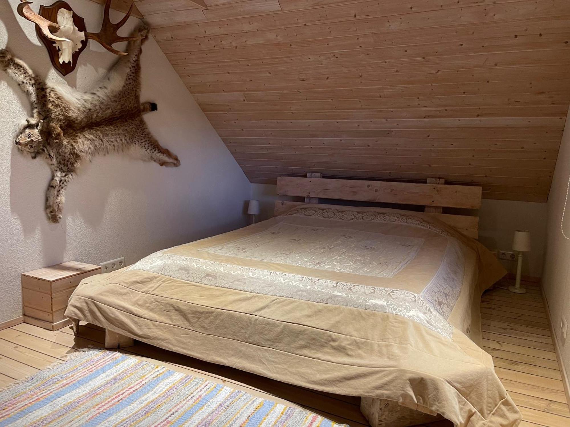 Oeoebiku Holiday House Antsla Екстериор снимка